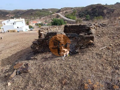 /international/pt/faro-faro-310096796030/