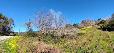 /international/pt/s-pedro-e-santiago-s-maria-e-s-miguel-e-matacaes-torres-vedras-lisbon-310106162448/