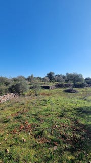 /international/pt/sao-bartolomeu-de-messines-faro-120091252346/