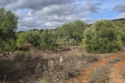 /international/pt/loule-faro-310104040815/