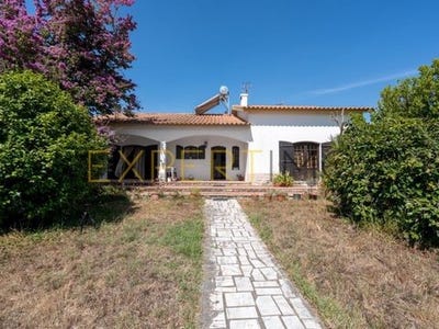 /international/pt/palmela-setubal-municipality-310101387381/