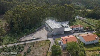 /international/pt/escariz-braga-310108428699/