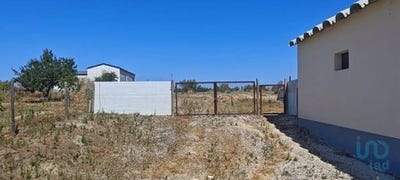 /international/pt/coruche-santarem-310100068017/?lang=zh-tw