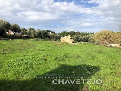 /international/pt/asseiceira-santarem-310096215813/