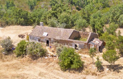 /international/pt/reliquias-odemira-beja-310101444264/?lang=zh-cn
