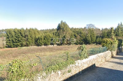 /international/pt/vila-nova-de-gaia-porto-310097623054/