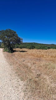 /international/pt/ferreiras-faro-310100663975/