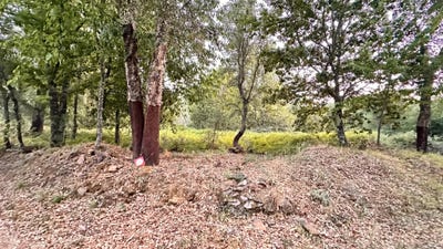 /international/pt/pedrogao-grande-portugal-pedrogao-grande-leiria-310103084482/