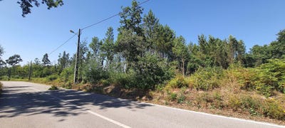 /international/pt/rua-carvalhais-oliveira-do-conde-viseu-310094778802/