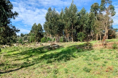 /international/pt/viseu-viseu-310098102221/