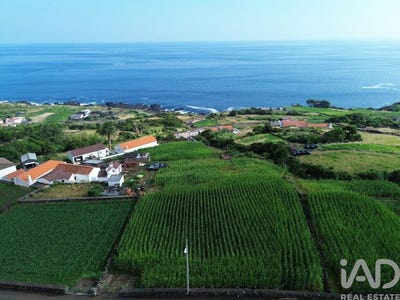 /international/pt/ilha-do-pico-azores-310105186426/