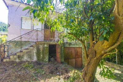/international/pt/vila-verde-braganca-120089901102/