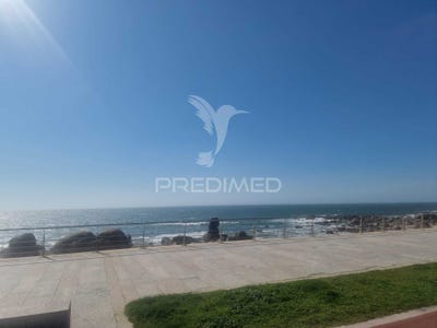 /international/pt/canidelo-vila-nova-de-gaia-porto-310108214076/