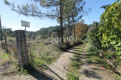 /international/pt/amares-braga-310104170107/