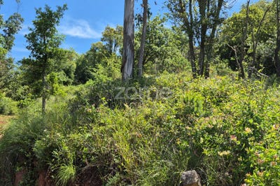 /international/pt/alenquer-lisbon-310098314703/?lang=zh-cn