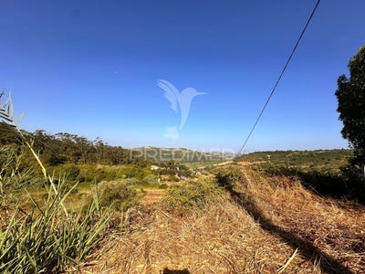 /international/pt/turcifal-torres-vedras-lisbon-310101016783/