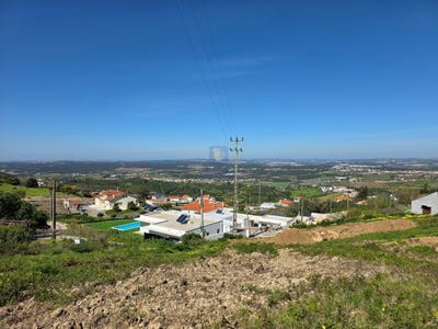 /international/pt/lamas-e-cercal-lisbon-310107323886/