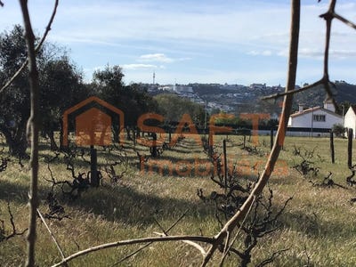 /international/pt/sao-miguel-do-rio-torto-e-rossio-ao-sul-do-tejo-santarem-district-310100489415/
