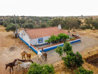 /international/pt/vila-verde-de-ficalho-beja-310100494835/