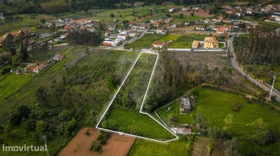 /international/pt/valongo-do-vouga-aveiro-310107357739/