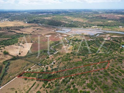 /international/pt/silves-faro-310107641751/