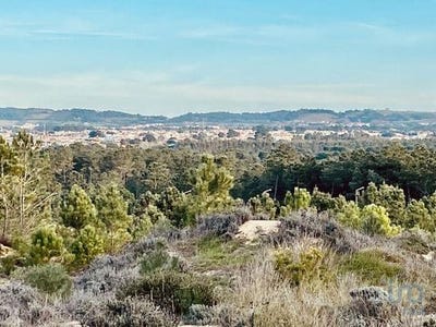 /international/pt/sesimbra-setubal-municipality-120096368462/