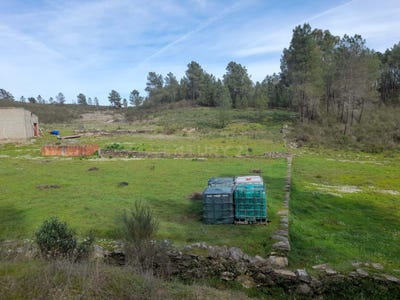 /international/pt/vale-gardete-salgueiro-do-campo-castelo-branco-310105250830/