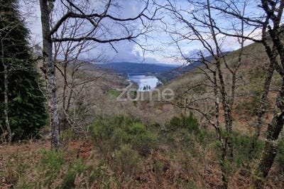 /international/pt/montalegre-vila-real-120090929809/