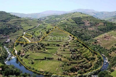 /international/pt/santa-marta-de-penaguiao-vila-real-310104042543/