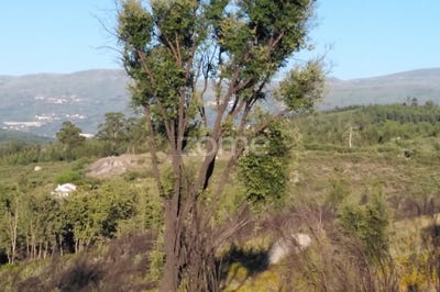 /international/pt/seia-guarda-120086290206/