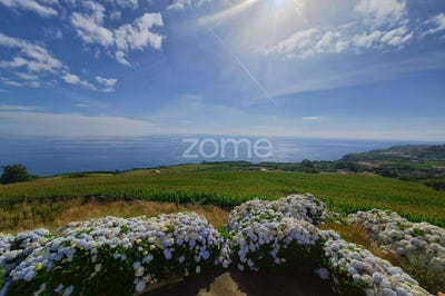 /international/pt/ponta-delgada-azores-120081989144/