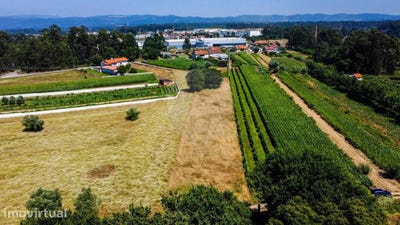 /international/pt/aguada-de-cima-aveiro-310093919537/