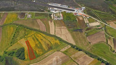 /international/pt/ovar-aveiro-310103466927/