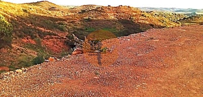 /international/pt/faro-faro-310097121661/