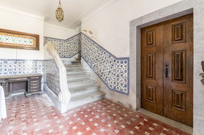 /international/pt/mesao-frio-vila-real-310099784017/