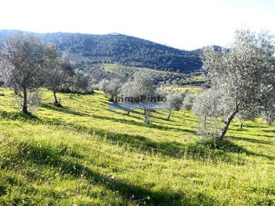 /international/pt/alfandega-da-fe-braganca-310102861414/