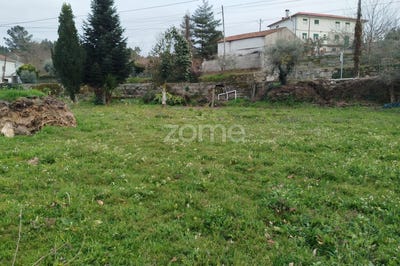/international/pt/mangualde-viseu-310098389291/?lang=zh-cn