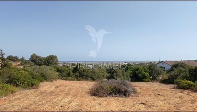 /international/pt/moncarapacho-e-fuseta-olhao-faro-310103039623/