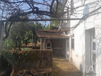 /international/pt/castelo-branco-braganca-310101471710/