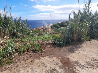 /international/pt/gaula-santa-cruz-madeira-120090378418/