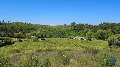 /international/pt/beja-beja-310098171338/