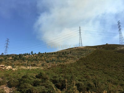 /international/pt/cimo-da-aldeia-salamonde-braga-310105187596/
