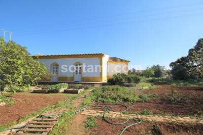 /international/pt/sao-bras-de-alportel-faro-310107214790/