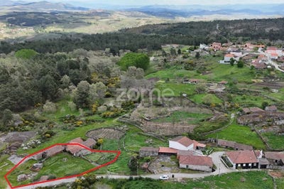 /international/pt/murca-guarda-310104165153/