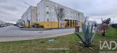 /international/pt/portalegre-se-e-sao-lourenco-portalegre-310106443338/