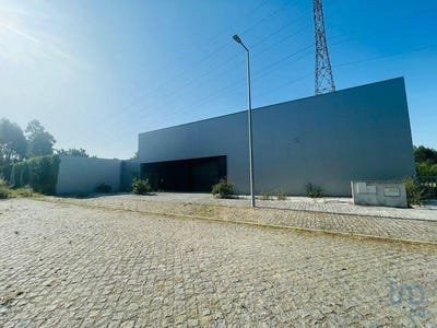 /international/pt/mujaes-viana-do-castelo-310100889097/?lang=fr