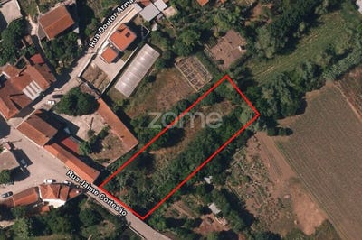 /international/pt/coimbra-lisbon-310106409002/