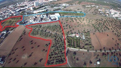 /international/pt/beja-beja-120087941964/