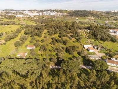 /international/pt/cidade-de-santarem-santarem-district-310099591441/