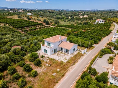 /international/pt/silves-faro-310108634010/
